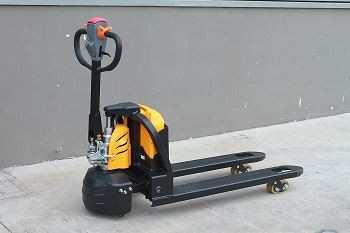 IMG_0219-1-1