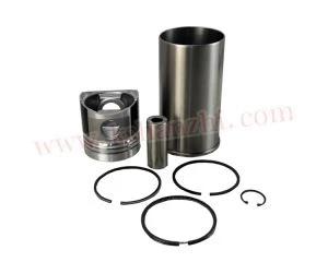 Hanzhi Vysokozdvižný vozík díly 495 Liner Kit Motor díly na prodej Oem díly na skladě
